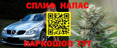 стаф Аша