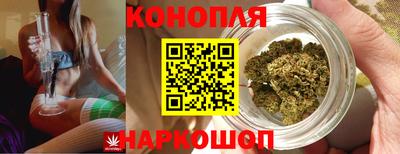 стаф Аша