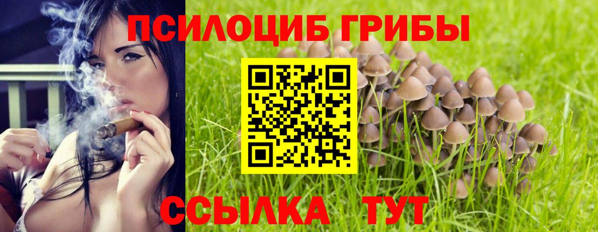 Джанкой  Галлюциногенные грибы Magic Shrooms  Вход с VPN  Галлюциногенные грибы мицелий 